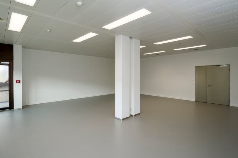 Modern office space – central, representative, and ready for occupancy (5)