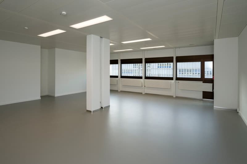 Modern office space – central, representative, and ready for occupancy (3)