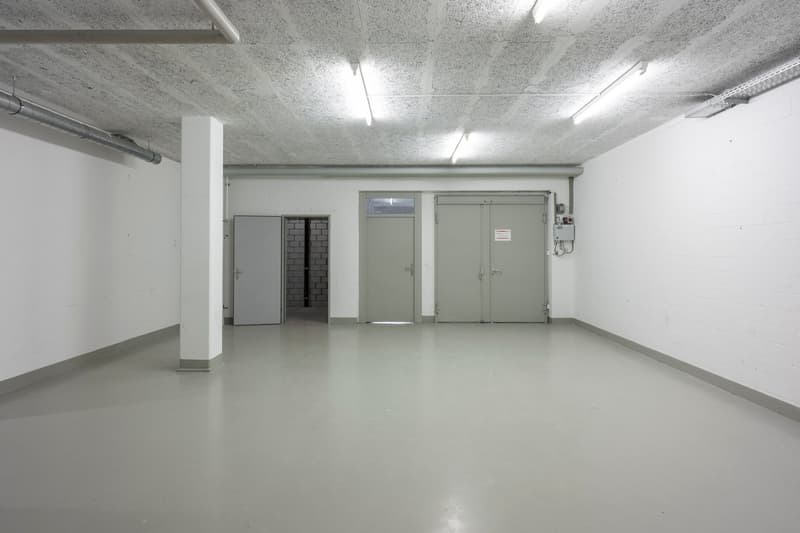 Votre nouvel emplacement pour le commerce, le stockage et la logistique à Horgen (4)