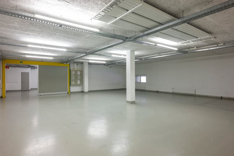 Votre nouvel emplacement pour le commerce, le stockage et la logistique à Horgen (5)
