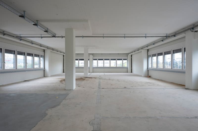 Ein Teil von etwas ganz grossem! 592 m² grosse Gewerbefläche im 8in (1)