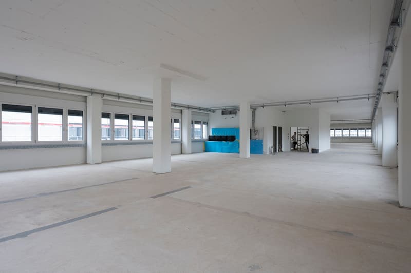 Ein Teil von etwas ganz grossem! 592 m² grosse Gewerbefläche im 8in (5)