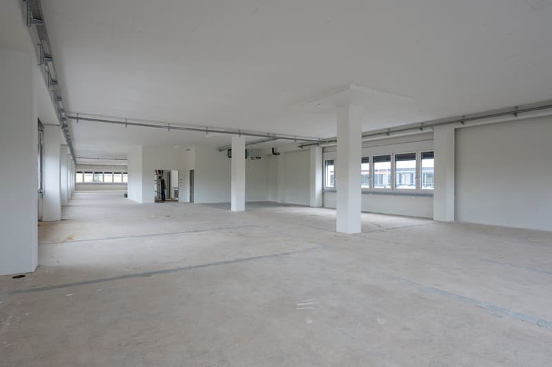 Ein Teil von etwas ganz grossem! 592 m² grosse Gewerbefläche im 8in (2)