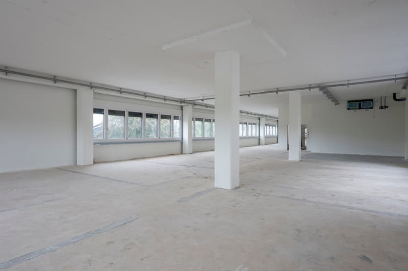 Ein Teil von etwas ganz grossem! 592 m² grosse Gewerbefläche im 8in (3)