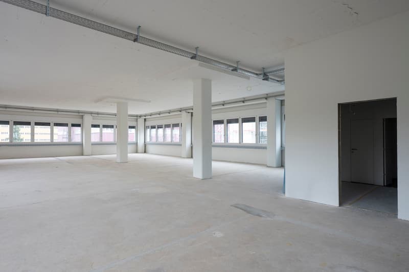 Ein Teil von etwas ganz grossem! 592 m² grosse Gewerbefläche im 8in (4)