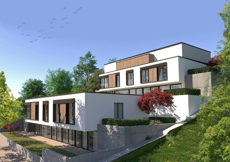Modern house, white exterior, large windows, wooden accents, raised ground floor, landscaped garden