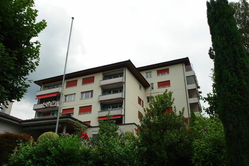 4-Zi Wohnung mit schöner Aussicht an ruhiger Lage zu vermieten (2)