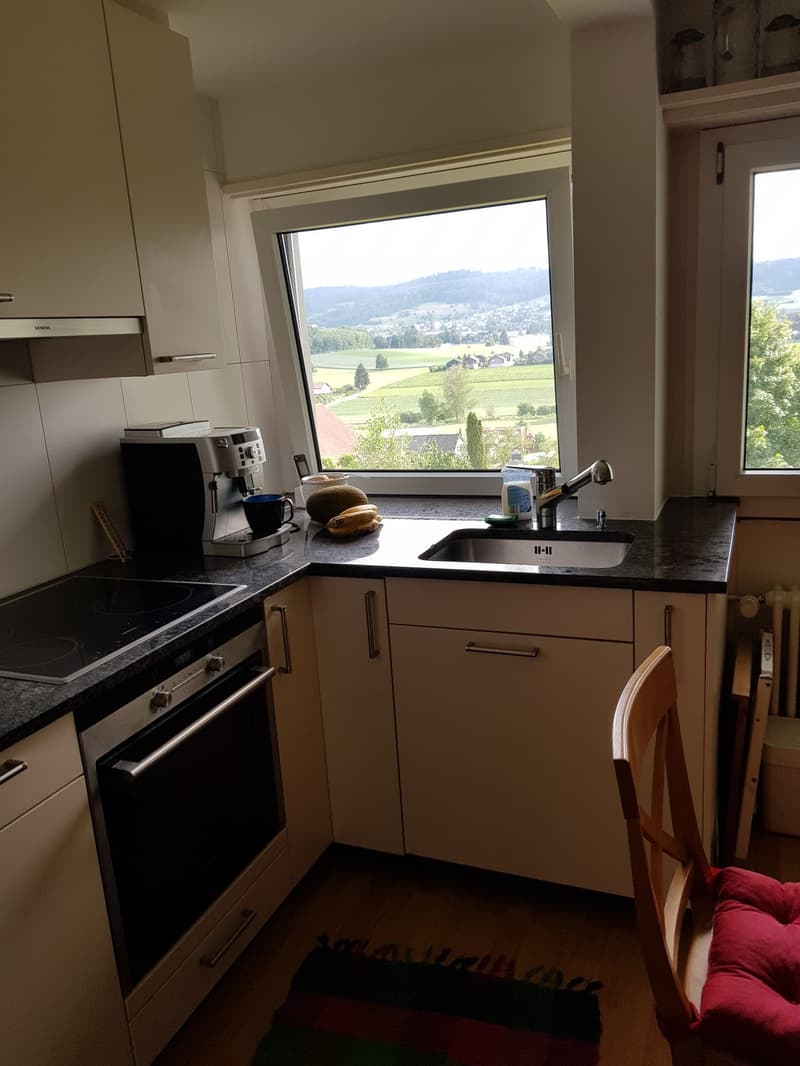 Zu vermieten 2 Zimmer Wohnung mit schöner Aussicht an ruhiger Lage (13)