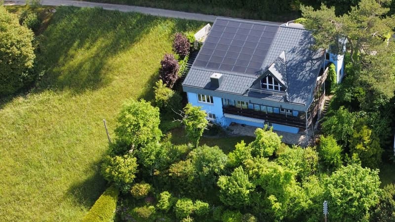 Spacious single-family house in Beringen in the green (1)