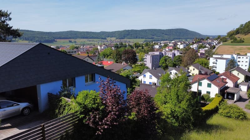 Spacious single-family house in Beringen in the green (3)
