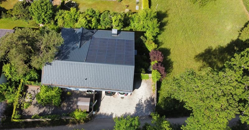 Spacious single-family house in Beringen in the green (2)