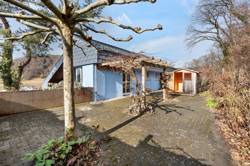 Spacious single-family house in Beringen in the green (4)