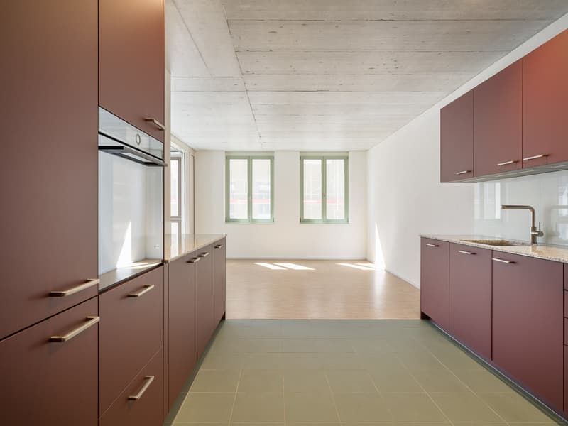 Moderne 3.5-Zi. Neubauwohnung mit Jahreszeitenzimmer in der Altstadt (1)