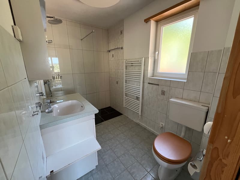 Sonniges Zuhause mit Weitsicht in Langwiesen (10)