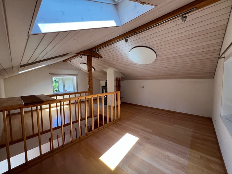 Sonniges Zuhause mit Weitsicht in Langwiesen (13)