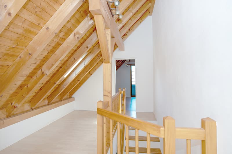Charmante Dachwohnung im Dorfzentrum (11)