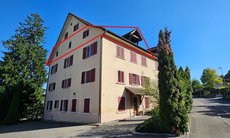 Eigentumswohnung im beliebten Breite-Quartier von Schaffhausen (1)
