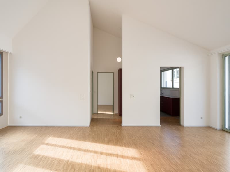 Lichtdurchflutete 3.5-Zimmer Wohnung mit Terrasse in der Altstadt (3)