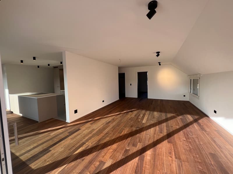 Maisonette der gehobenen Klasse - Erstbezug (5)
