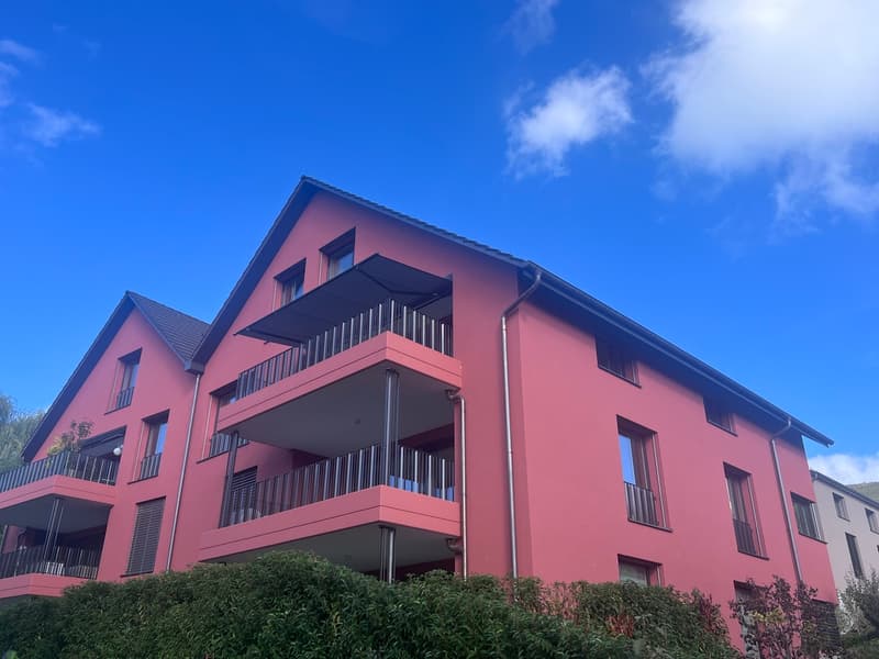 Maisonette der gehobenen Klasse - Erstbezug (1)