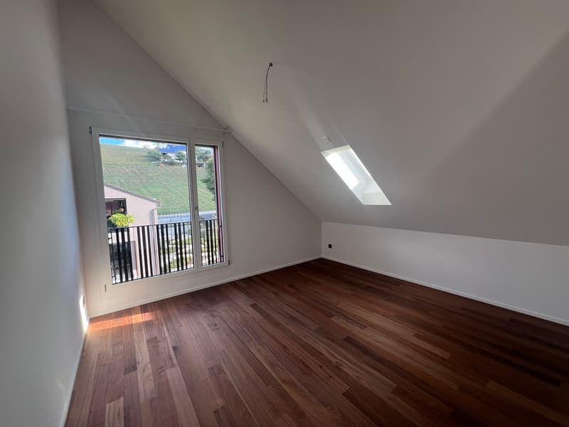 Maisonette der gehobenen Klasse - Erstbezug (12)