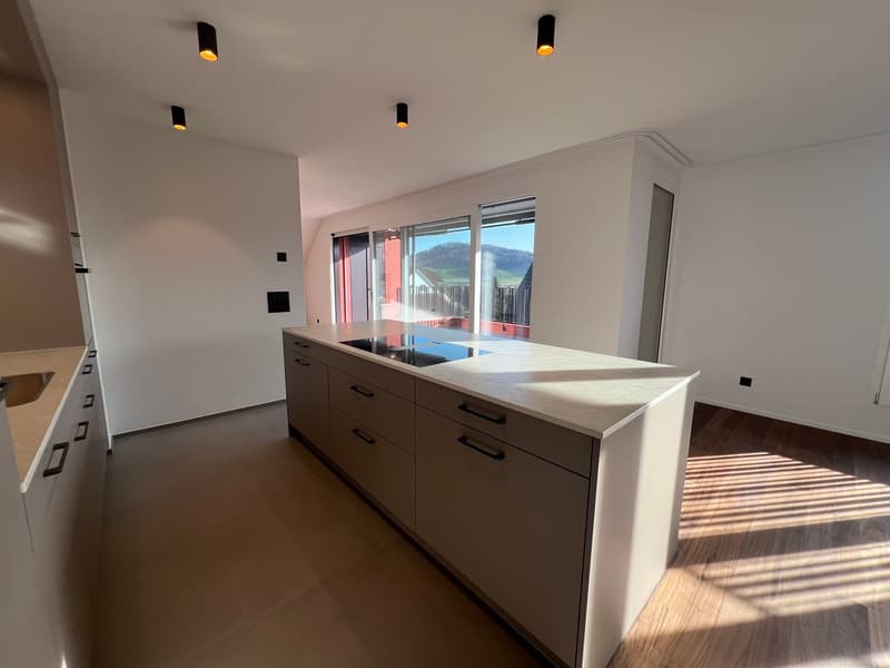 Maisonette der gehobenen Klasse - Erstbezug (3)