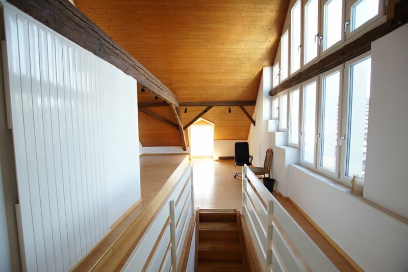 Merveille d'espace charmant ! (18)