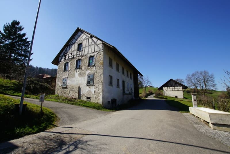 Investitionsobjekt im Grünen (1)