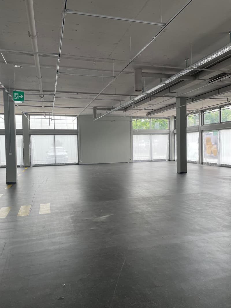 Visibilità di primo piano da Zürichstrasse a Hinwil - 2'370 m² (4)