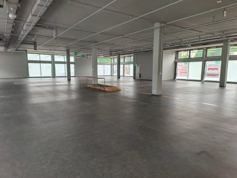 Hinwil Erdgeschoss ca. 1'270 m²