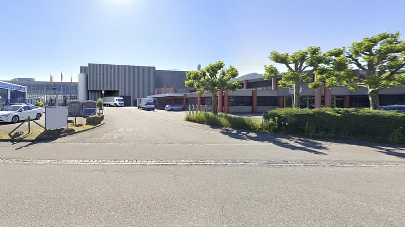 Industrial building with large parking area, trucks parked, trees and bushes in front, clear sky