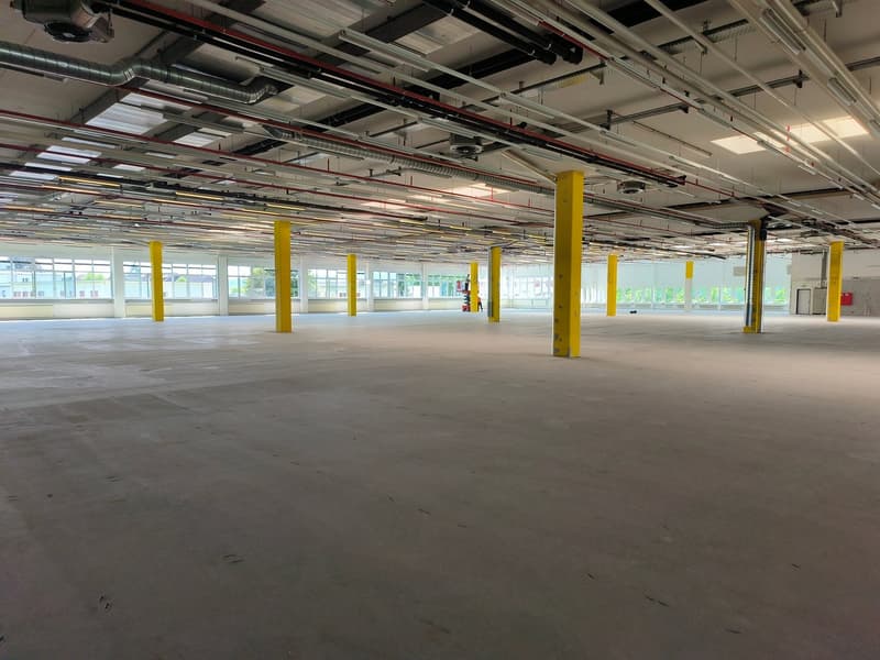 Empty warehouse with high ceilings, yellow pillars, large windows, exposed pipes and ducts, concrete floor.