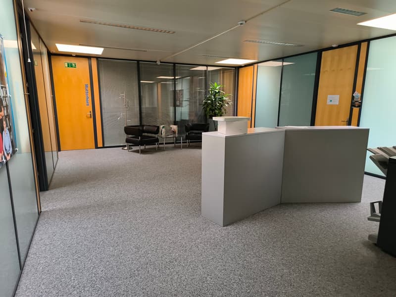 Empty office space with glass walls, carpeted floor, two black chairs, a small table, a potted plant, and a reception desk.