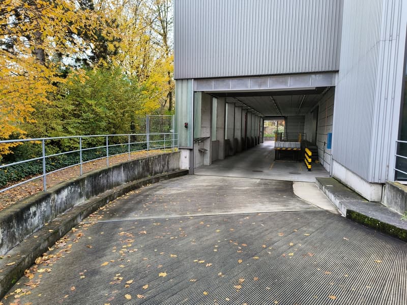 Espaces commerciaux avec utilisation polyvalente à un emplacement stratégiquement avantageux à Bâle (11)