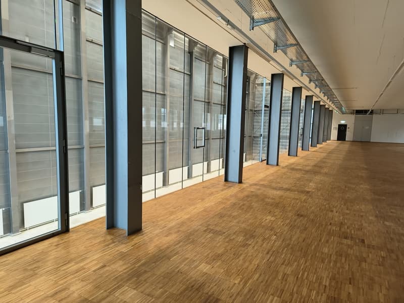 Espaces commerciaux avec utilisation polyvalente à un emplacement stratégiquement avantageux à Bâle (5)
