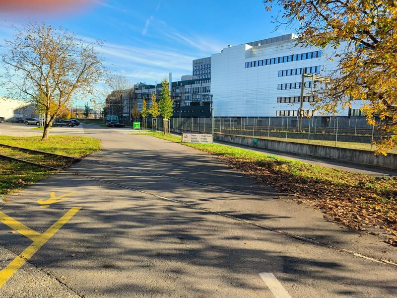 Empty road with yellow and white markings, trees, and a building in the background.