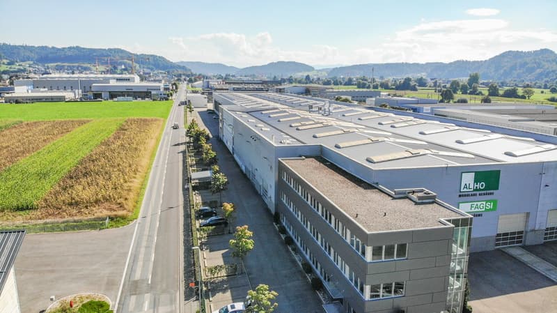 Industriehalle mit Deckenkränen und befestigte Aussenflächen (5)