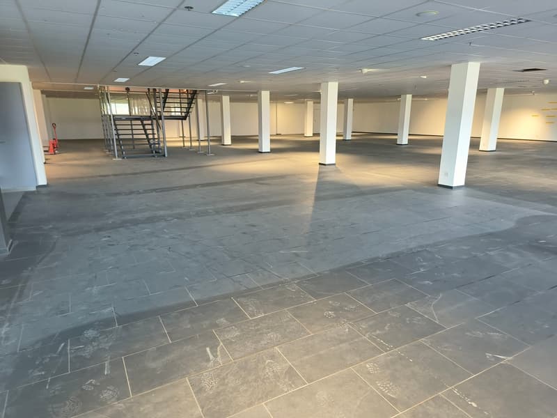 EG Verkauf/Showroom 2.80 m