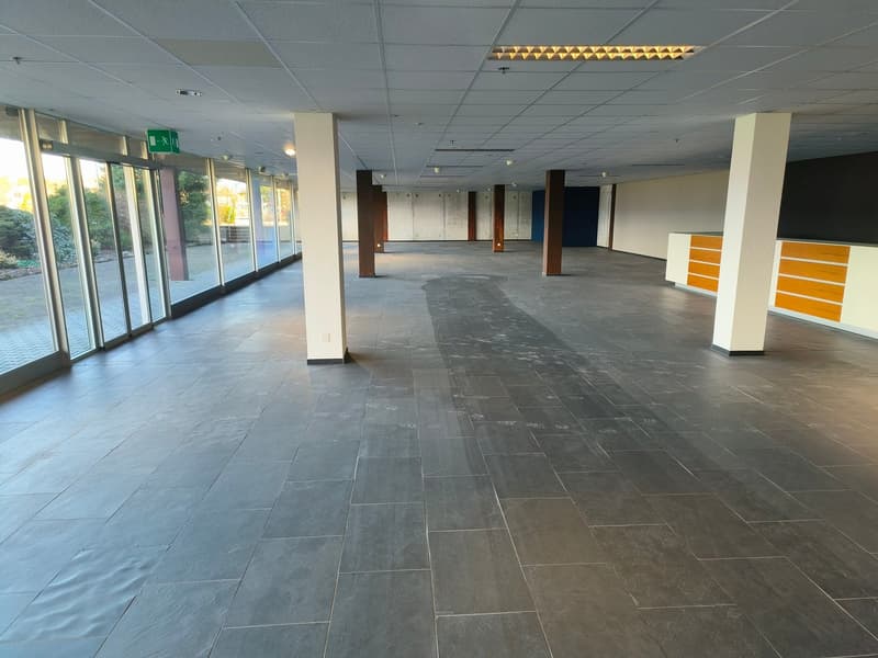 EG Verkauf/Showroom ca. 1'650 m² mit Cafeteria ca. 70 m², Büro und Sozialräume