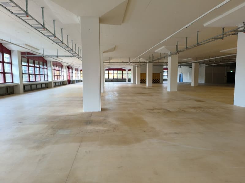Vor dem Mieterausbau