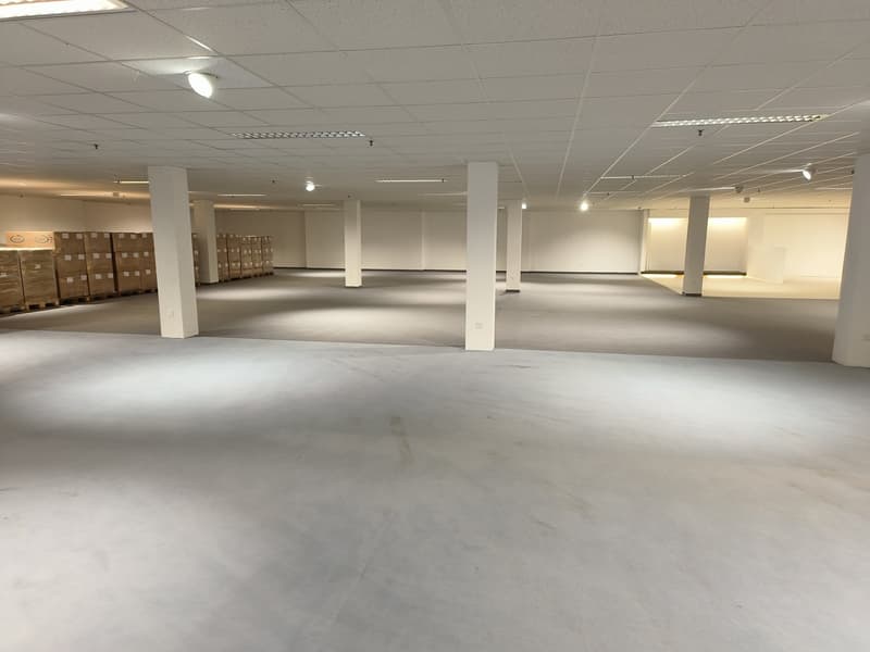Gewerbeflächen Studen