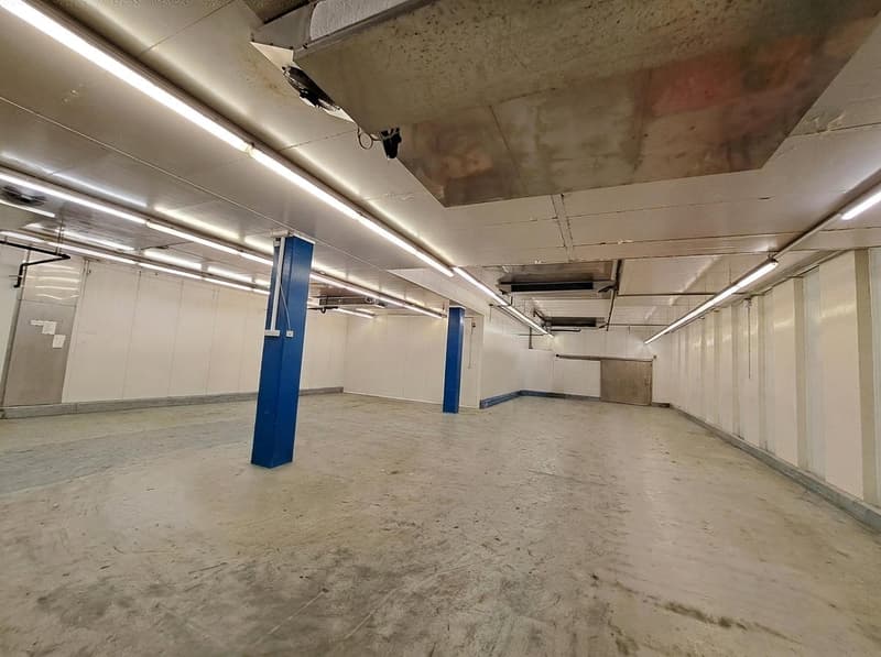 Erdgeschoss ca. 2'003 m², Höhe 4.40 m, Bodenbelastung 1.5 t/m²