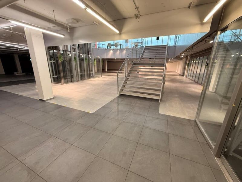 Untergeschoss vor dem Mieterausbau