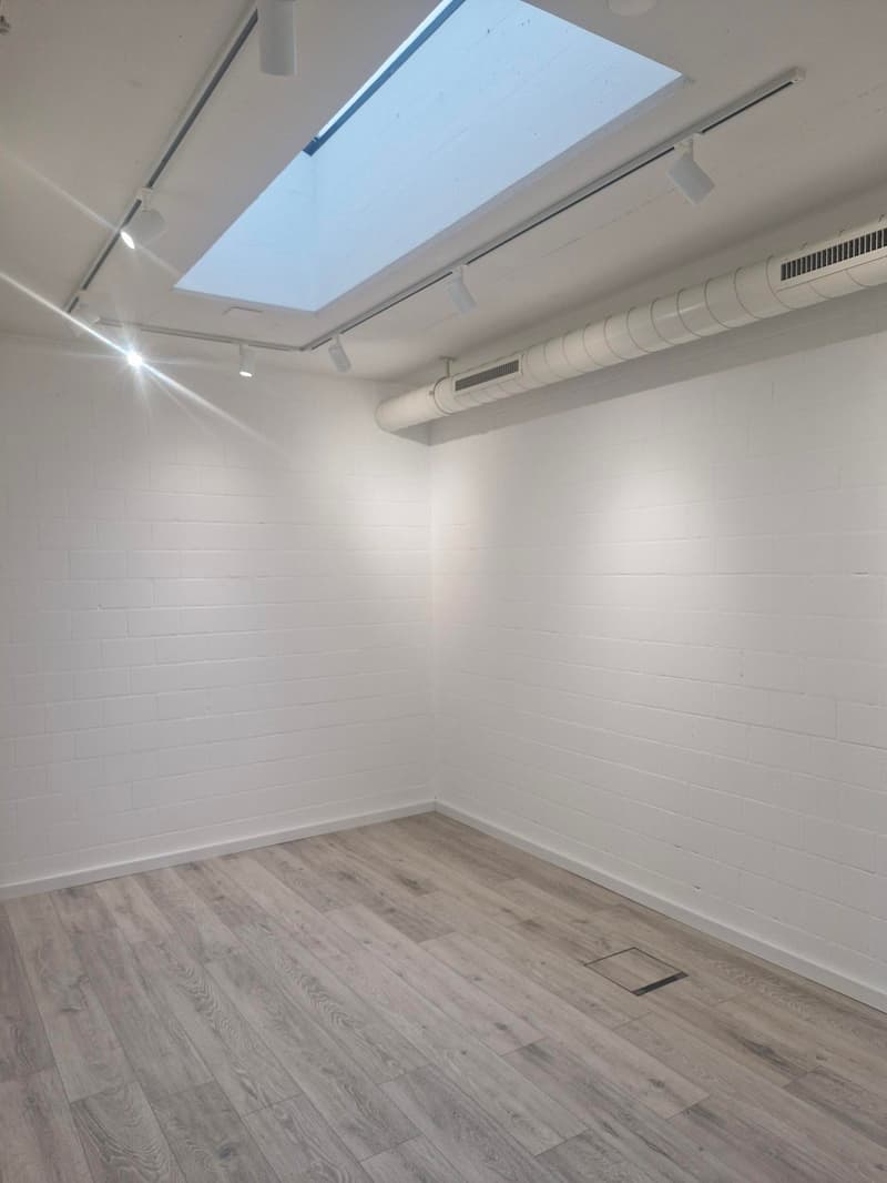 Empty room, white brick walls, ceiling lamps, wooden floor, skylight