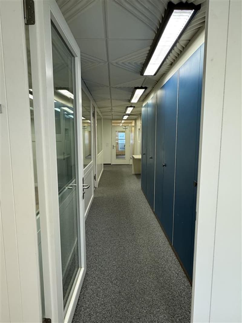 Corridor with gray carpet, white walls, glass doors, blue lockers, fluorescent ceiling lights