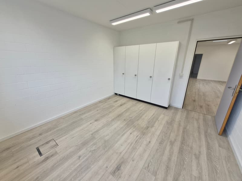empty room, white walls, wooden floor, white cabinets, ceiling lights