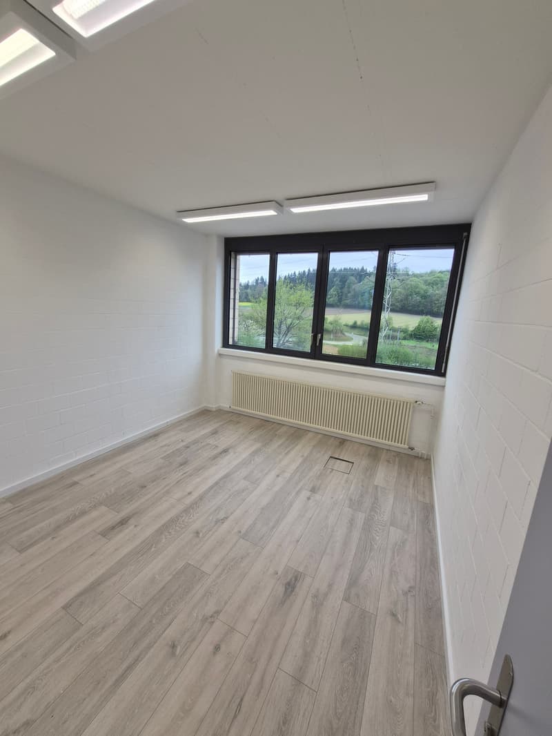 empty room, white walls, wooden floor, large window, radiator