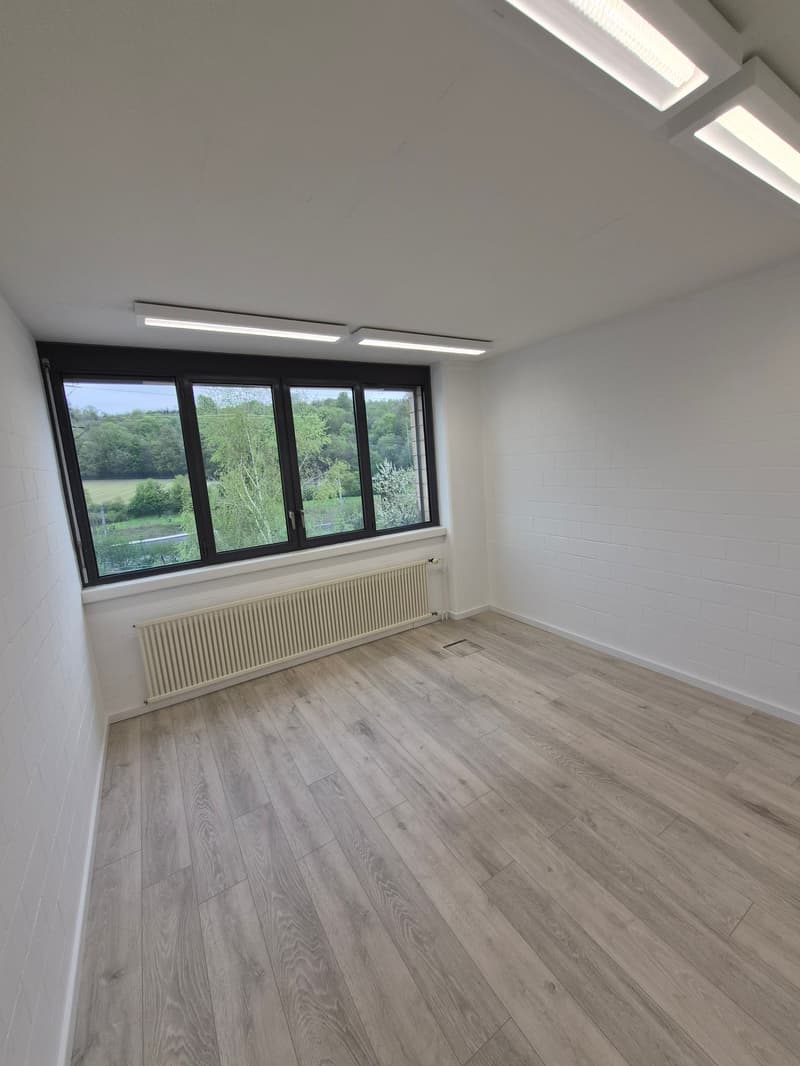empty room, white walls, wooden floor, large window, white radiator
