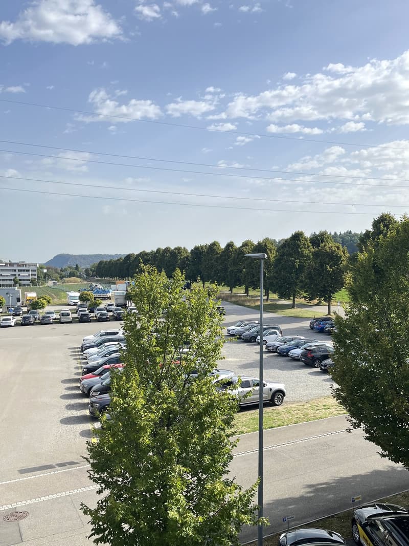 Gewerbefläche mit Lager und Parkmöglichkeiten in Windisch (11)