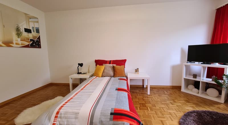 Chambre meublée moderne à Schafisheim (1)